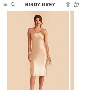 Birdy Grey Lisa Satin Midi Dress in Gold ⚡️